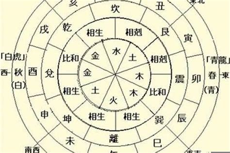 八字 天干|八字